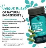 Testosterone Booster for Men – High Strength Testosterone Supplements with Tribulus 90% Saponins, Moringa, Maca & Fenugreek – Natural T-Booster – 60 Vegan Capsules – Made in Italy by RedMoringa - Image 8