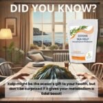 Kelp 500mg Tablets – Natural Iodine Source for Thyroid Support & Metabolism – 60 Tablets - Image 6