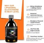 Intelligent Labs Liposomal Glutathione + Vitamin C, Advanced Liquid Antioxidant Formula, 500 mg Reduced L-Glutathione + 1000 mg Vitamin C per Serving, 30 Servings, Soy Free - Image 4