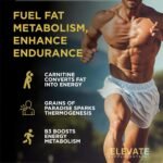 Elevate Supplements Burn Thermogenic Fat Burner, 150 Capsules | Weight Management Supplement for Men & Women | Supports Energy Metabolism, Focus & Craving Control for an Active Lifestyle | 30 Servings - Image 5