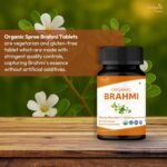 BRAHMI 120 Tablets | Bacopa Monnieri (Brahmi) | USDA Organic Certified | Organic and Natural - Pack of 3 - Image 3