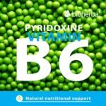 Bromelain Capsules 350 mg – 100 Count | Pineapple Enzyme Supplement for Digestive Balance and Daily Wellness - Image 6