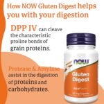 Now Foods, Gluten Digest (Gluten Enzyme), 60 Vegan Capsules, SOYA Free, Gluten Free, Non-GMO, Vegetarian - Image 5