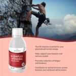 Bandini® Liposomal Vitamin B Complex Liquid | High Strenght B-Complex B1, B2, B3, B5, B6, B7, B9, B12 | High Bioavailability & Absorption | Reduction of Tiredness, Energy & Immune Support | Vegan - Image 3