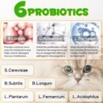 Cats Constipation Relief Supplements Liquid Drops With 6 Probiotics Support Digestive Health & Gut Health,Improve Immunity,60ml Grilled Chicken Flavor - Image 3