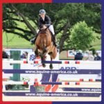 Equine America Pro Gut Balancer | Premium Ready To Use Horse & Pony Supplement | Support For Digestive Function & Performance | 450g - Image 5