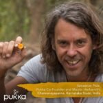 Pukka Turmeric Active, Organic Herbal Tea with Ginger & Galangal (4 Pack, 80 Total Tea bags) & Night Time, Organic Herbal Sleep Tea (4 Pack, Total 80 Tea Bags) - Image 5