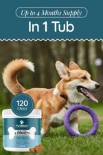 Anti-Itch & Immunity Dog Treats – Dog itchy skin relief, Supports Allergy Relief, Skin Health & Immune System with Colostrum, Salmon Oil, and Probiotics - 120 Soft Chews - Image 6