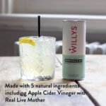 WILLY'S Apple Kombucha & Apple Cider Vinegar - Probiotics For Detox & Gut Health - Vegan & Gluten Free - 12 x 250ml Cans - Sustainable ACV - Image 3