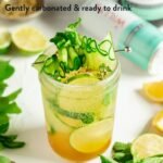 WILLY'S Apple Kombucha & Apple Cider Vinegar - Probiotics For Detox & Gut Health - Vegan & Gluten Free - 12 x 250ml Cans - Sustainable ACV - Image 4