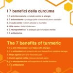 ERBOTECH Organic Curcuma in Capsules, 100g Pack, Approximately 140 Capsules, 100% Pure and Organic, Concentrated and Without Additives, Natural Food Supplement, Vegan - Image 5