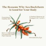Organic Sea Buckthorn Oil 1000mg 60 Capsules, Omega 7, Skin Hydration, Immune Support, Cellular Health & Digestive Support - Image 3