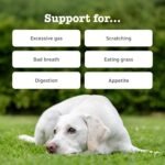 Zesty Paws Probiotic Chews for Dogs | Supports Gut Health, Stool Quality & Digestive Balance, Bad Breath | Contains Prebiotics, Probiotics & Postbiotics, Pumpkin & Linseed | Daily Use | 60 Chews - Image 3