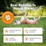 Zesty Paws Probiotic Chews for Dogs | Supports Gut Health, Stool Quality & Digestive Balance, Bad Breath | Contains Prebiotics, Probiotics & Postbiotics, Pumpkin & Linseed | Daily Use | 60 Chews - Image 4