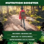 Pure Moringa Capsules - Pure Moringa Oleifera Leaf Powder -180 Vegan Capsules - Image 4