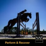 NAF Liquid Electro Lytes 1L – Fast-Absorbing Electrolyte Supplement for Horses – Replaces Salts Lost Through Sweat – Supports Hydration, Recovery & Performance - Image 8