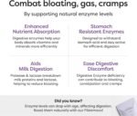 Orange FibreMaxx + Gut Boost | Full Spectrum Fibre with Live Cultures & Digestive Enzymes | 12g Daily Fibre, Supports Gut Microbiome, Digestion & Balance | Vegan | Sugar Free | 30 Servings - Image 5