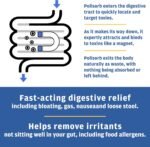 Detoxify Polisorb Digestive Tract Cleanse – Silicon Dioxide Detox Drink for Gut Health, Stomach Comfort & Cleansing, Mixes with Water, Juice, Tea - Family-Friendly, 2 Tbsp Serving for Adults - Image 4