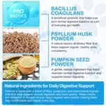 Anal Gland Soft Chews for Dogs, 150PCs Dog Anal Gland Chews with Pumpkin, Digestive Enzyme & Probiotics Support Healthy Bowel Function - Fibre Supplements Soft Chews for Dogs - 13.2oz / Beef Flavor - Image 3