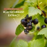 New Zealand Blackcurrant Extract - 35% Anthocyanins - 30 Vegan Capsules (1 Month Supply) – Resealable and Recyclable Pouch by Alpha01 - Image 5