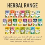 Heath & Heather - Organic Fennel Tea • Aromatic Digestive Infusion • Naturally Caffeine-Free • Vegan • Wellness Brew with Aniseed Sweetness • Multipack 6 x 20 Boxes (120 Tea Bags) - Image 7