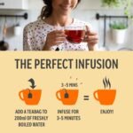 Heath & Heather - Organic Fennel Tea • Aromatic Digestive Infusion • Naturally Caffeine-Free • Vegan • Wellness Brew with Aniseed Sweetness • Multipack 6 x 20 Boxes (120 Tea Bags) - Image 9