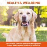 Vetzyme Once A Day Conditioning Tablets for Dogs (240 Tablets) - With B Complex Vitamins to Promote Fitness and Support a Healthy Immune System - Image 5