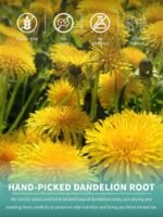 TeeLux Roasted Dandelion Root Tea Bags, Premium Natural Dandelion Root Herbal Tea, Caffeine Free, 100 Tea Bags, A Popular Coffee Alternative - Image 3
