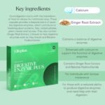 LIFEPLAN Digestive Enzymes Plus Supplement - 60 Capsules - 81.66 Grams - Image 6