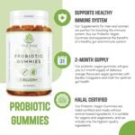 Probiotic Vegan Gummies - 60 Days (2 months supply) - Orange Flavour (Halal) - Bacillus Coagulans & Inulin Great for, Immune System, Digestion System and Gut Health, - Image 3
