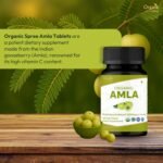 Amla 120 Tablets | Indian Gooseberry (Amalaki) | USDA Organic Certified | Organic and Natural 120tab (120 Count (Pack of 1)) - Image 3