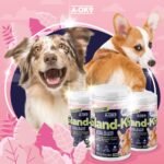 Gland-K9 Dog Gland & Digestive Health Supplement Powder – Probiotic & Prebiotic Fibre Formula for Natural Gland Function and Firm Stools - For All Ages & Breeds - 500g - Image 3