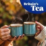 Tetley Fresh Mint Tea Bags - Refreshing Peppermint & Spearmint Blend - Naturally Caffeine-Free - Smooth & Cooling Herbal Infusion - Rainforest Alliance Certified - 25 Teabags (1 Pack) - Image 3