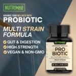 Probiotics – Advanced Bio Culture Complex | 20 Billion CFU – 15 Strain Daily Gut & Digestive Health Supplement | 3 Month Supply – 90 Vegan Capsules | Ideal with Prebiotics – Made in UK - Image 3