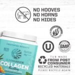 Sunwarrior Collagen Building Protein Peptides, Natural, 500 g - Image 4