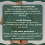 300 Billion CFU Probiotic & Prebiotic Capsules – Ultra-High Strength Synbiotic with 12 Multi-Strain Cultures for Gut Health, Digestive Balance & Immune Support – Vegan, Non-GMO, 120 Capsules - Image 6