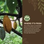 NutriCraft Organic Raw Cacao/Cocoa Powder - 1kg, 75% Criollo Cacao Beans, Made from Aromatic Beans, Superfood for Smoothies & Baking, Chocolate Making, High Nutrient, Rich Antioxidants - Image 5