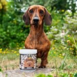 Bottoms Up Powder Supplement for Dogs, 600g - 100% Natural Dog Digestive Supplements to Keep Anal Glands Clear - Contains Pre and Probiotics for Gut Health Support - Image 4