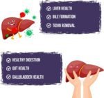 TUDCA 500mg, Tauroursodeoxycholic Acid with Humic and Fulvic Acids, Beet Root and More, Tudca Bile Salt Supplement for Liver Health, Digestion, Detox and Repair (Pack of 2) - Image 4