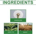 Leaf and Root Tea Bag, Natural Flavorful H-erbal in-Fusion, 86g, Healthy Digestion Leaf & Root Plant Tea Bag, Pure Dietary Supplement, Single-Serve Design, for Adults Morning Evening - Image 6