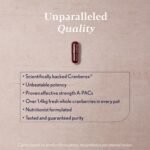 Higher Nature - Oregon Cranberry Supplement - 48,000mg Superior Strength - UTI Support for Women & Men - True Food® Formula - High Strength Cranberry Concentrate 200x - Sugar Free - 30 Capsules - Image 6