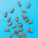 Pooch & Mutt - Meaty Dog Treats (Grain Free), Health & Digestion, Pack of 7x120g - Image 4