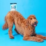 Pooch & Mutt - Meaty Dog Treats (Grain Free), Health & Digestion, Pack of 7x120g - Image 5