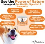 NutriPaw Pre & Probiotic Treats For Dogs - Gut & Digestive Health, Sensitive Tums, Anal Glands & Bum Scooting, Loose Stools, Waxy, Smelly & Itchy Ears, Digestive Enzymes - Twin Value Pack - Image 3