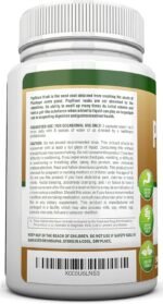 PSYLLIUM Husk Capsules - 1450mg Per Serving - 240 Capsules - Premium Psyllium Fiber Supplement - Great for Digestion and Regularity - 100% Natural Soluble Fiber - Image 6