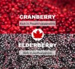 Immunia Urinary Health. Cranberry & Elderberry Concentrate. Fruits from Canada. Natural Antioxidant. Delicious Taste. 5 ml/Day - Image 5