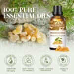 AESHORY Frankincense Essential Oils 100ml, Pure Natural Frankincense Resin Oil for Diffusers for Home, Aromatherapy, Skin Care, Relaxation, Pain Relief, Candle Making - Image 3