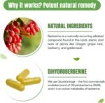 SuperBotanic Berberine Advanced 150mg 60 Capsules - Strength Berberine Supplement - Suitable for Men and Women - Image 4
