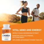Vimergy Chaga Mushroom Capsules, 30 Servings - Real Mushroom Herbal Supplement for Cardiovascular Support - Kosher, Non-GMO, Gluten-Free, Vegan, Paleo - 100% Pure Chaga with Zero Fillers (90 Count) - Image 3