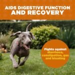 ProDog Digest Gut & Digestive Health with Prebiotics & Fibre Supplement - Natural Formula with Digestive Enzymes for Sensitive Tummies, Anal Glands & Poor Appetite - 30 Servings - Image 4